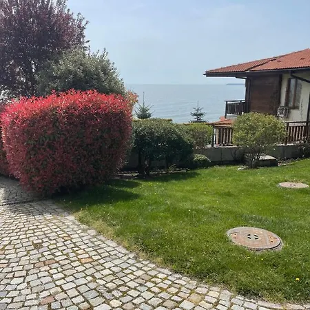 Eden Of Garden, Vlas *