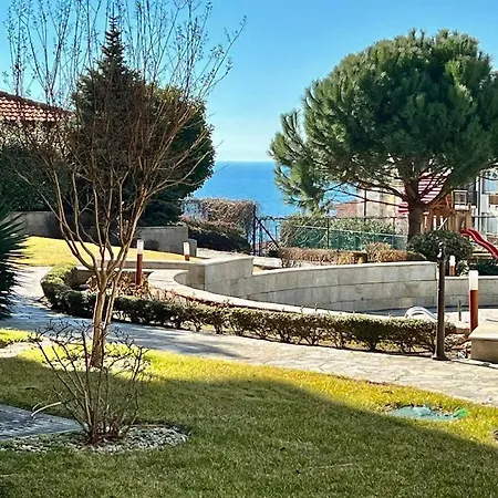 Eden Of Garden, Vlas